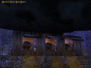 Helm's Deep Gate Protector Image 4