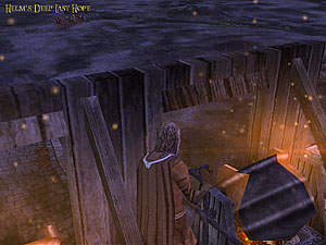 Helm's Deep Gate Protector Image 6